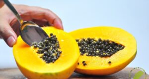 Don’t throw away paw paw seeds from now. Here are health benefits paw paw seeds
