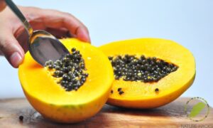 paw paw seeds