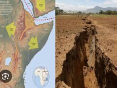 Africa will divide to form new continent, scientists list affected countries