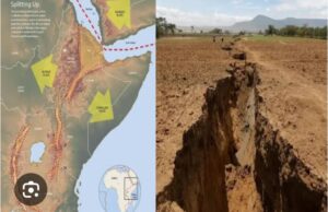 Africa will divide to form new continent, scientists list affected countries