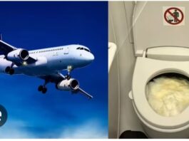 What happens when you go to toilet in an aeroplane