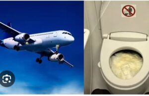 What happens when you go to toilet in an aeroplane