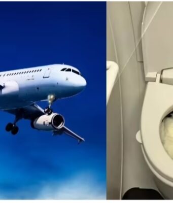 What happens when you go to toilet in an aeroplane
