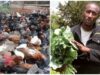 Famous K24 journalist was sacked and now making millions in farming
