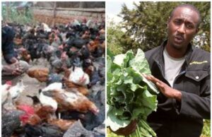 Famous K24 journalist was sacked and now making millions in farming