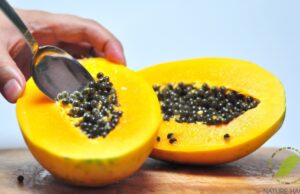 Don’t throw away paw paw seeds from now. Here are health benefits paw paw seeds