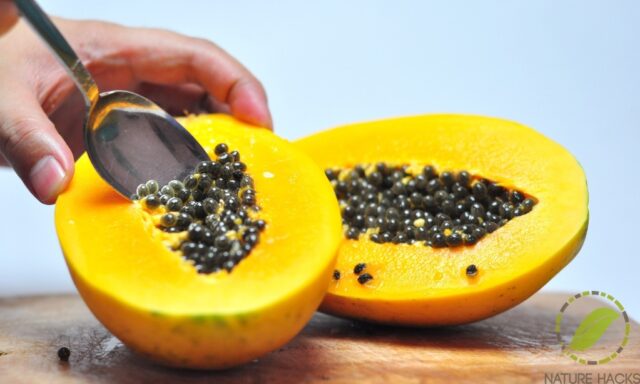 paw paw seeds