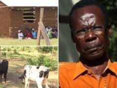 Popular former MP who turned to rearing chicken after defeats