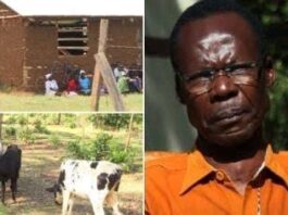 Popular former MP who turned to rearing chicken after defeats