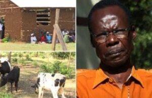 Popular former MP who turned to rearing chicken after defeats
