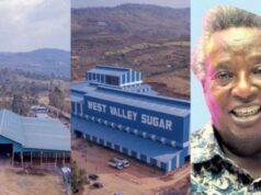 The tycoon behind 800 million sugar factory in Kericho
