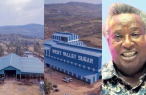 The tycoon behind 800 million sugar factory in Kericho
