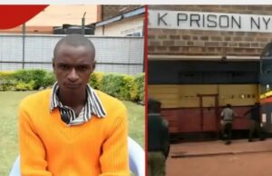 Shamba boy imprisoned until 2076 for refusing to buy alcohol