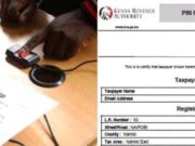 All Kenyans with phone number and KRA must do this in Govt announcement