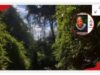 Senior Government official found dead in Forest