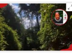 Senior Government official found dead in Forest