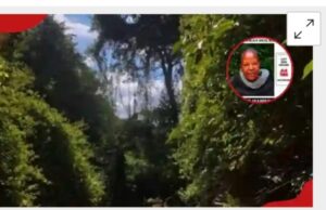 Senior Government official found dead in Forest