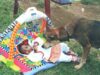 What happened to Heroic Dog that saved baby from dumping site