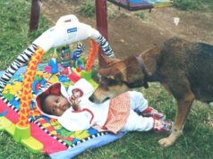 What happened to Heroic Dog that saved baby from dumping site