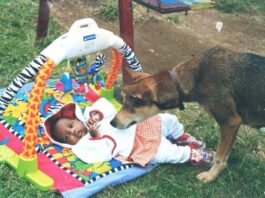 What happened to Heroic Dog that saved baby from dumping site