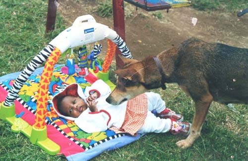 What happened to Heroic Dog that saved baby from dumping site