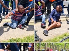 Two people beaten to near death after trying to kidnap an elderly woman