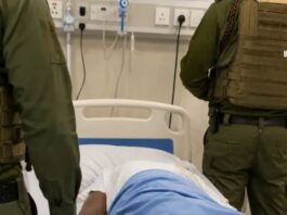 GSU officer fighting for his life after girlfriend stabbed him