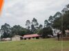 Headteacher arrested for impregnating 4 pupils