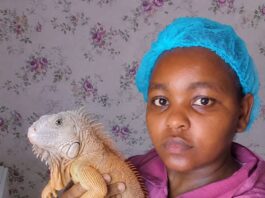 Woman working in saudi shows scary animal she takes care of