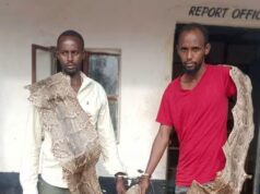 Two people arrested in Guest house with python 18 feet long worthy good money